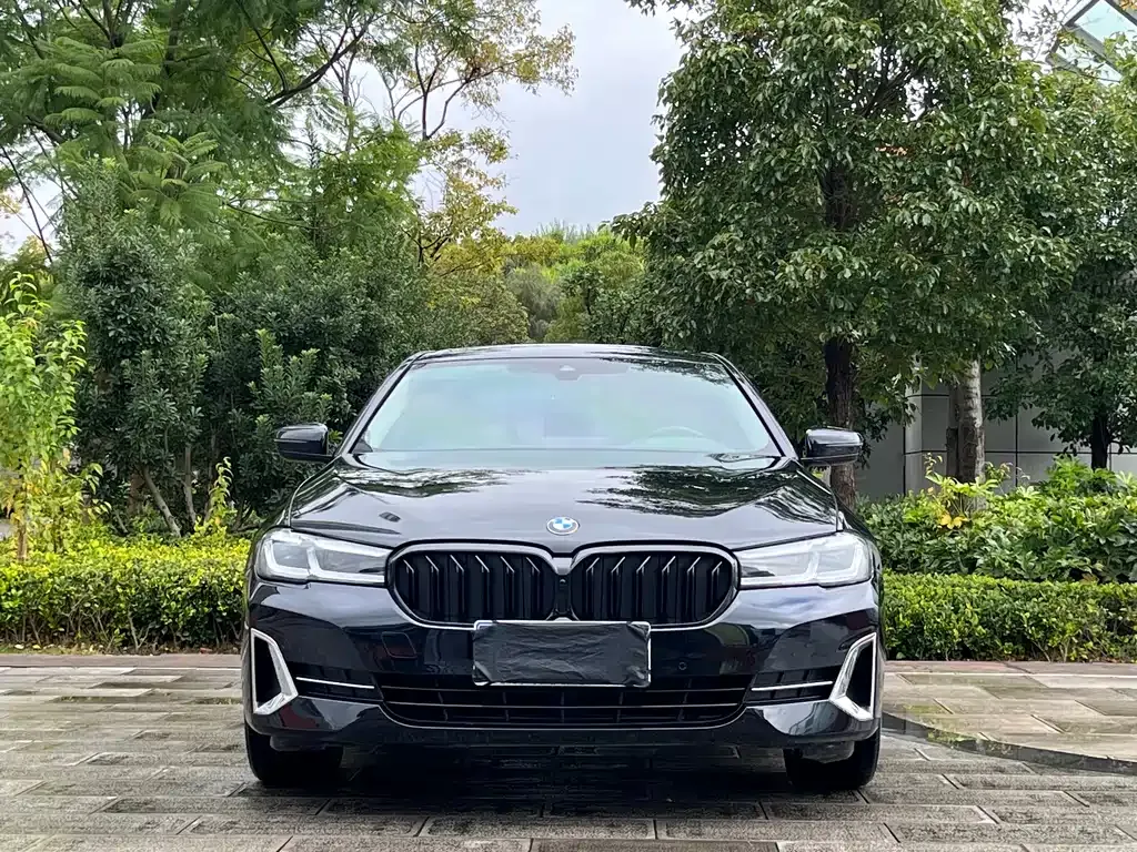 BMW 5 Series 2022 из CN, фото 2