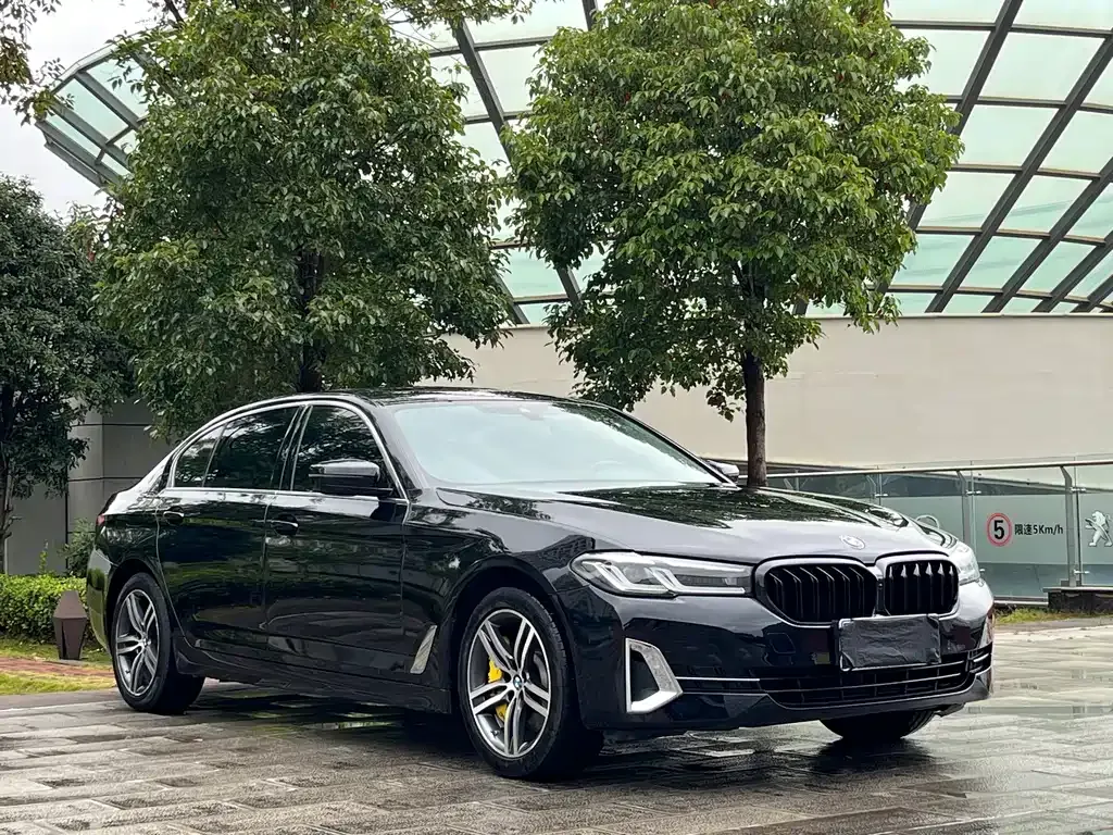 BMW 5 Series 2022 из CN, фото 3