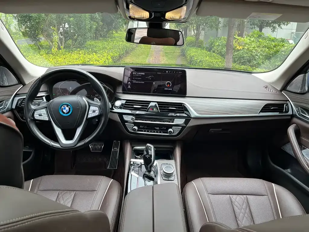 BMW 5 Series 2022 из CN, фото 6