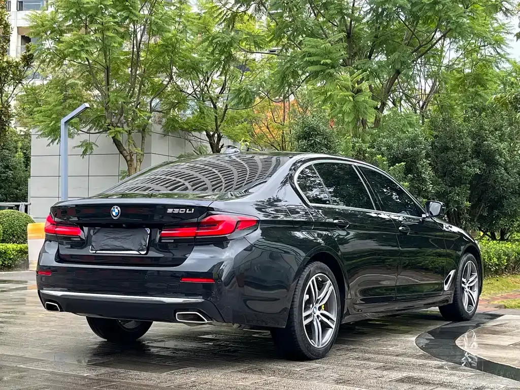 BMW 5 Series 2022 из CN, фото 7