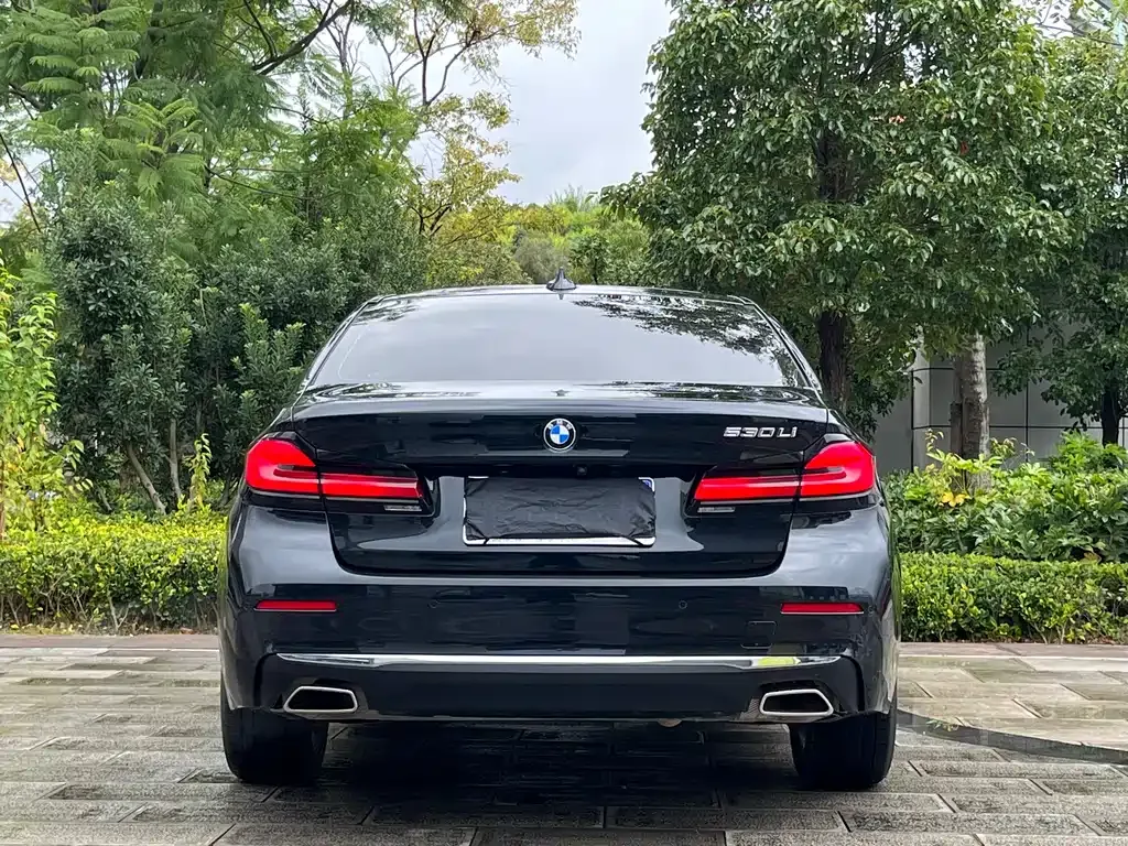 BMW 5 Series 2022 из CN, фото 8