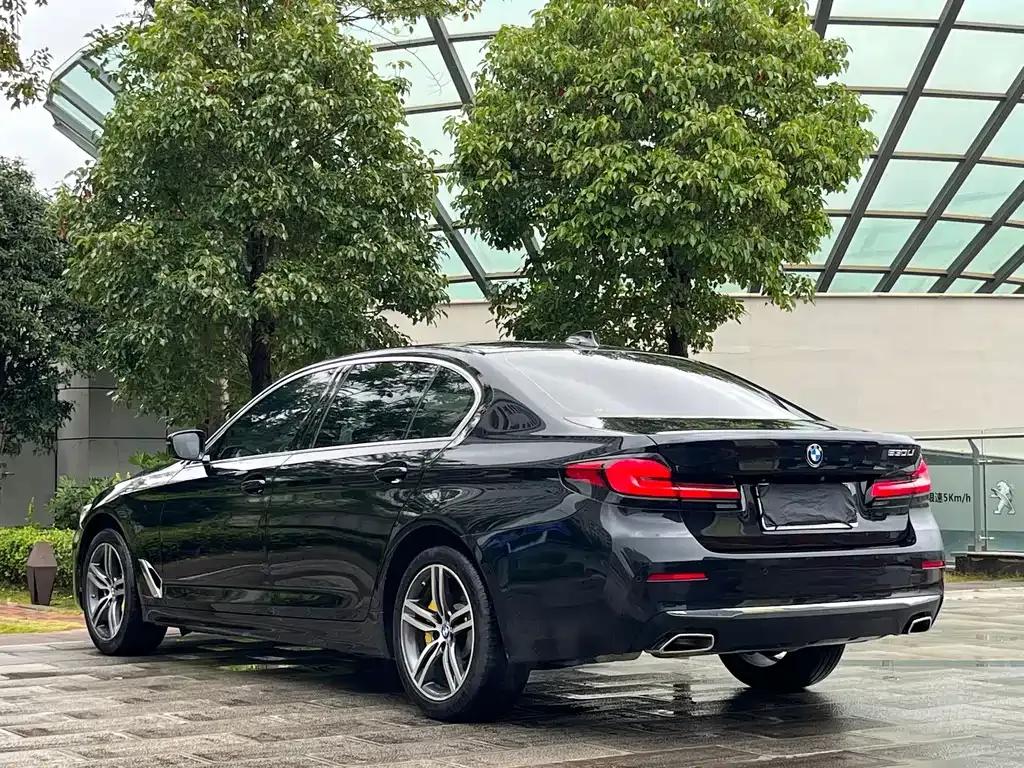 BMW 5 Series 2022 из CN, фото 9