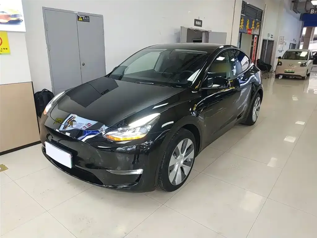 Tesla Model Y — фото 2