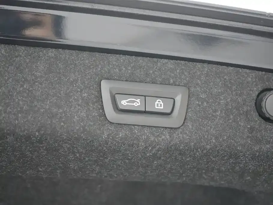 BMW 5 Series New Energy 2021 из CN, фото 4