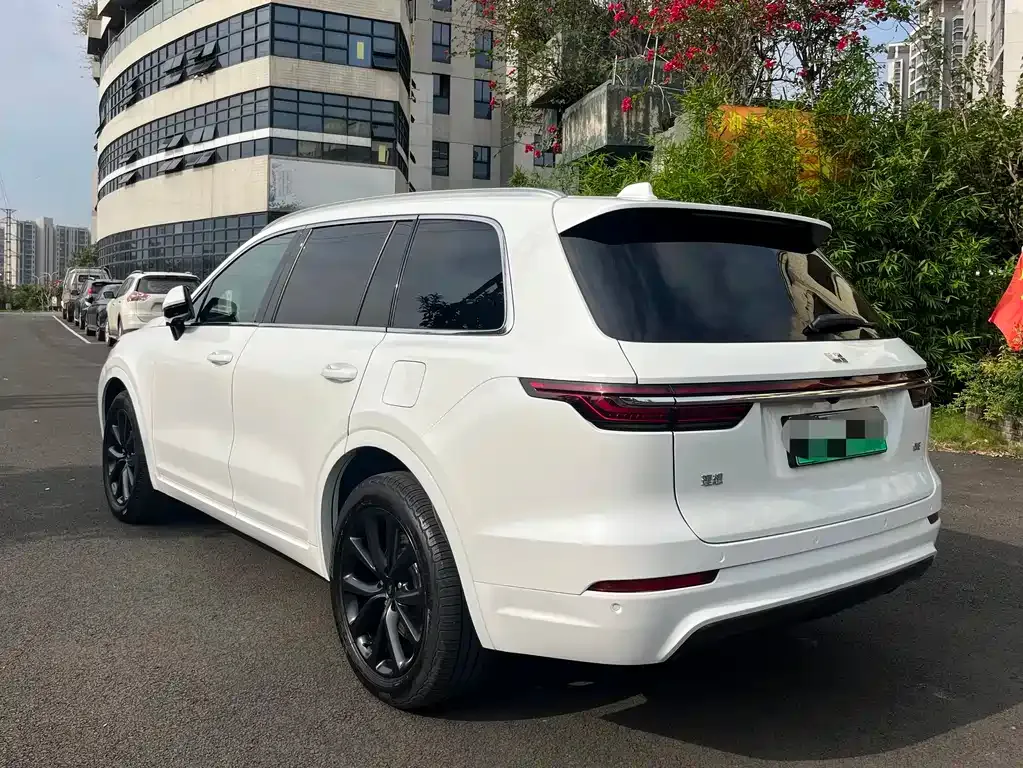 Li Auto ONE 2021 из CN, фото 6