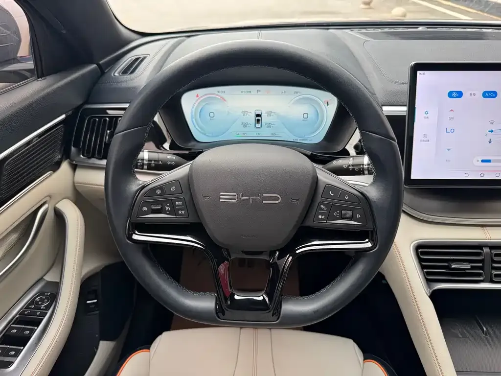 BYD PLUS New Energy 2023 из CN, фото 10