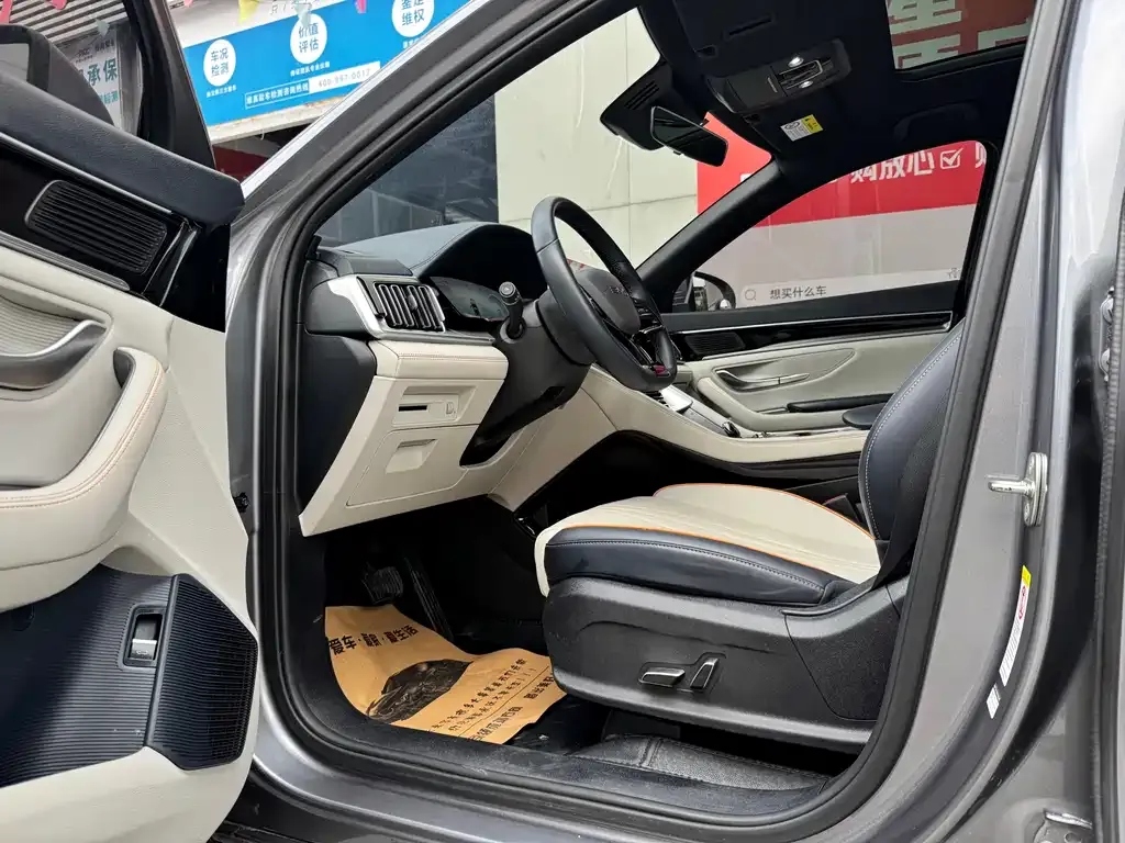BYD PLUS New Energy 2023 из CN, фото 9