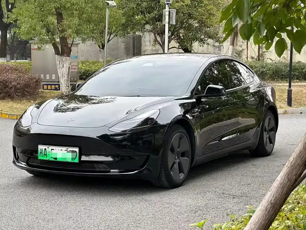 Tesla Model 3 2021 из CN, фото 1