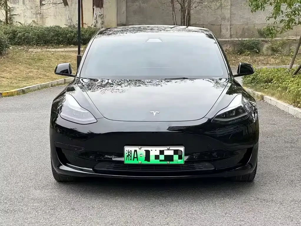 Tesla Model 3 2021 из CN, фото 2