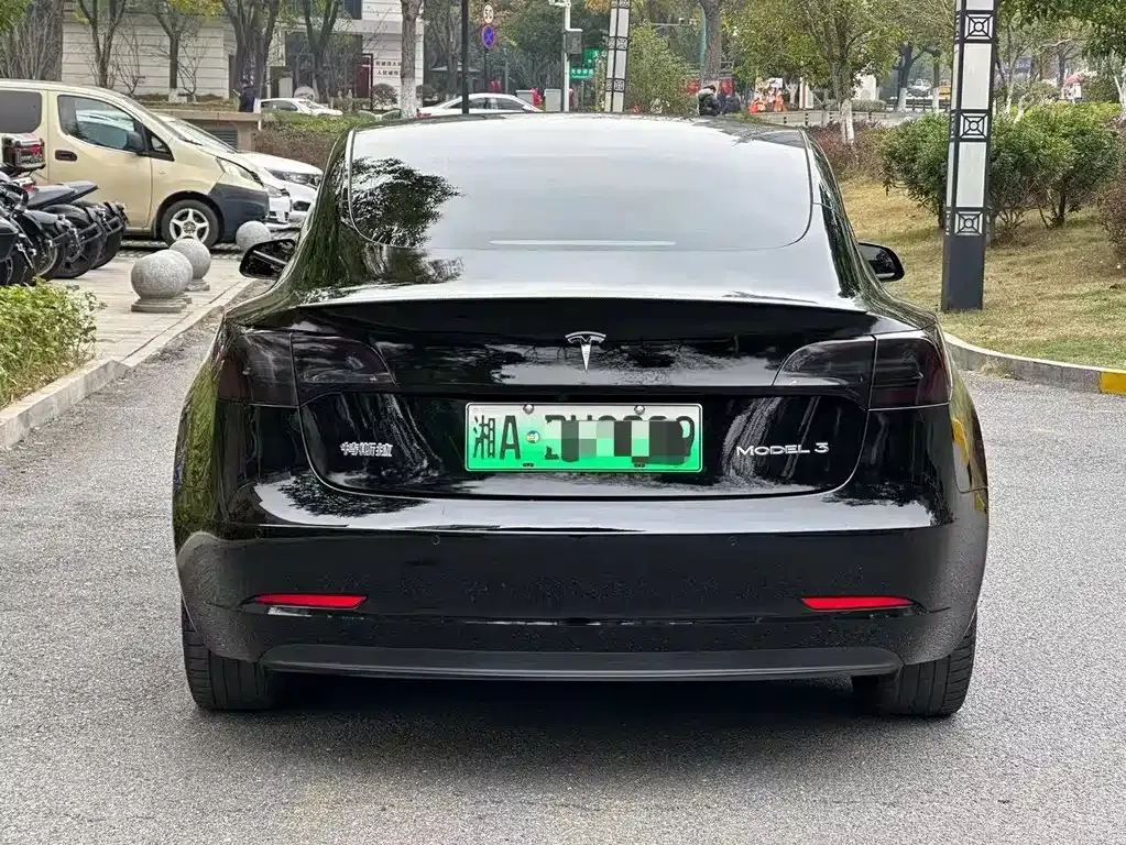 Tesla Model 3 2021 из CN, фото 5