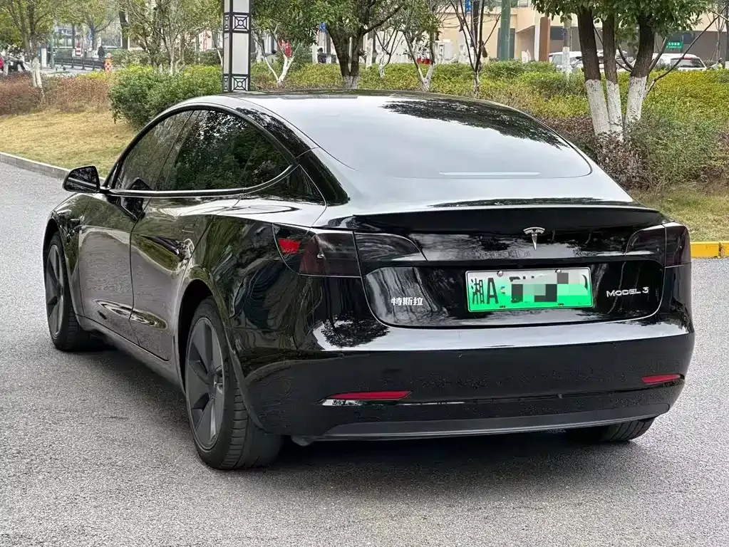 Tesla Model 3 2021 из CN, фото 6