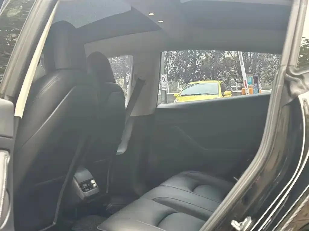Tesla Model 3 2021 из CN, фото 8