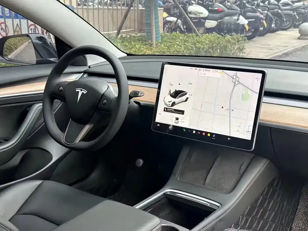 Tesla Model 3 2021 из CN, фото 9