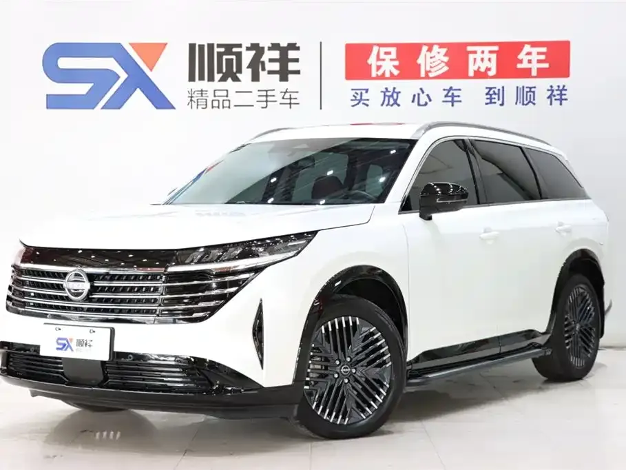 Nissan Teramont 2024 из CN, фото 1