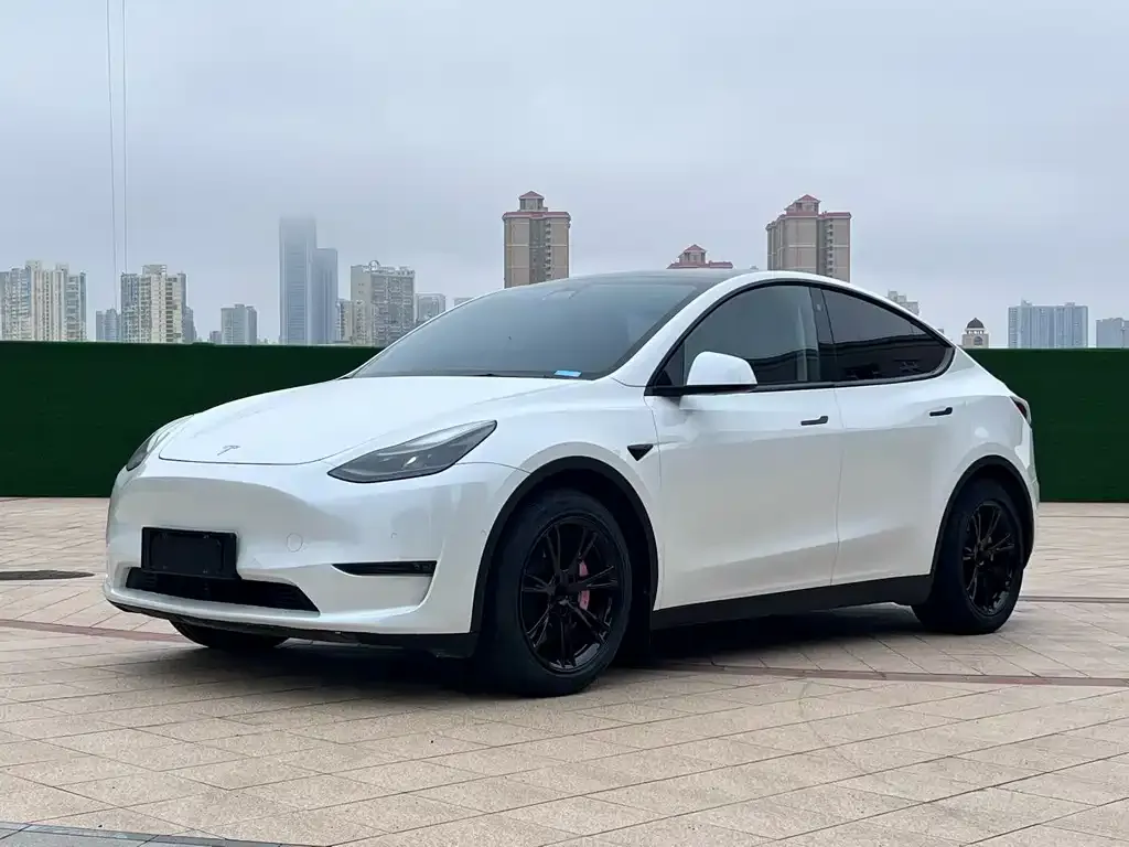Tesla Model Y 2022 из CN, фото 1