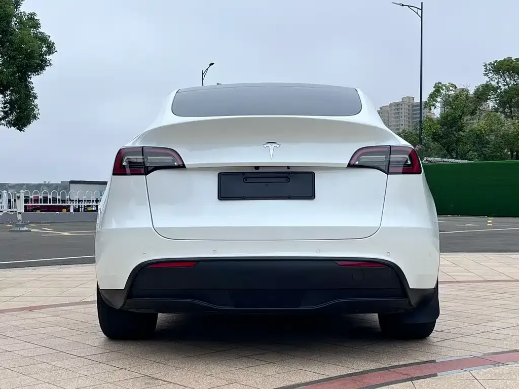 Tesla Model Y 2022 из CN, фото 8