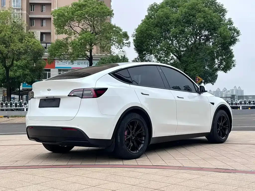 Tesla Model Y 2022 из CN, фото 9