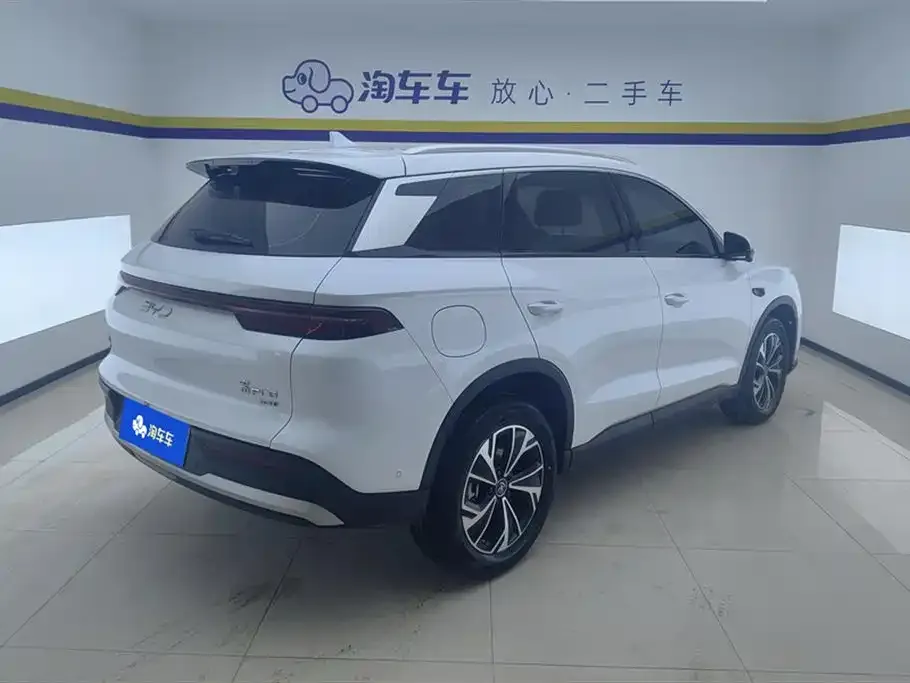 BYD Pro New Energy 2025 из CN, фото 3