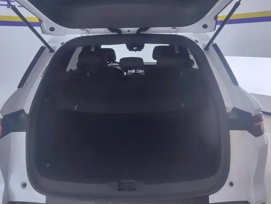 BYD Pro New Energy 2025 из CN, фото 4