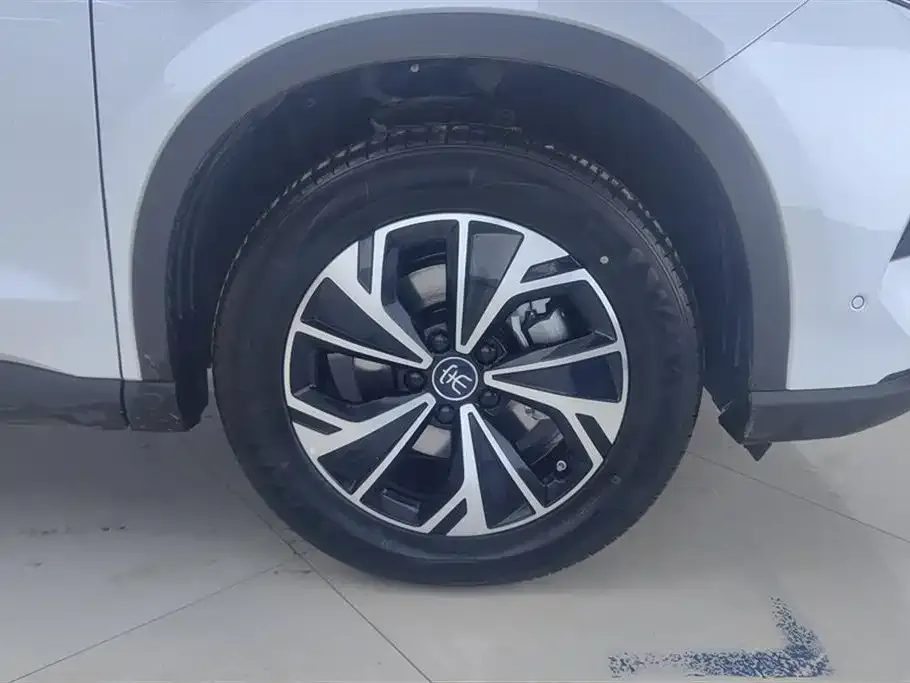 BYD Pro New Energy 2025 из CN, фото 6