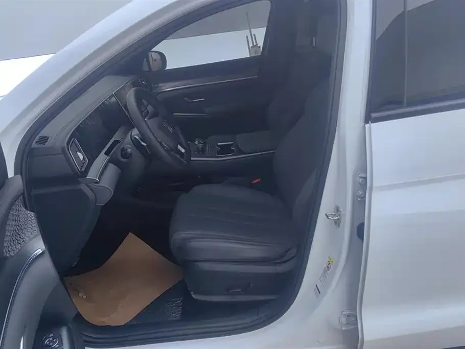 BYD Pro New Energy 2025 из CN, фото 9