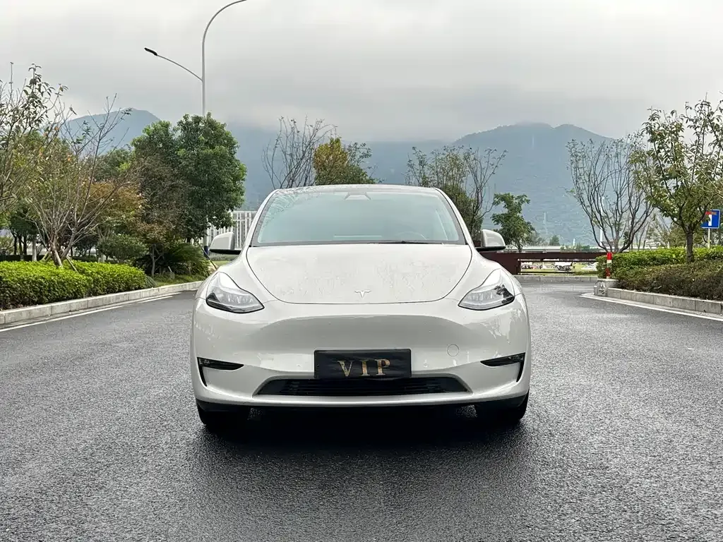 Tesla Model Y — фото 2
