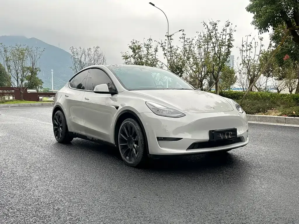 Tesla Model Y — фото 3