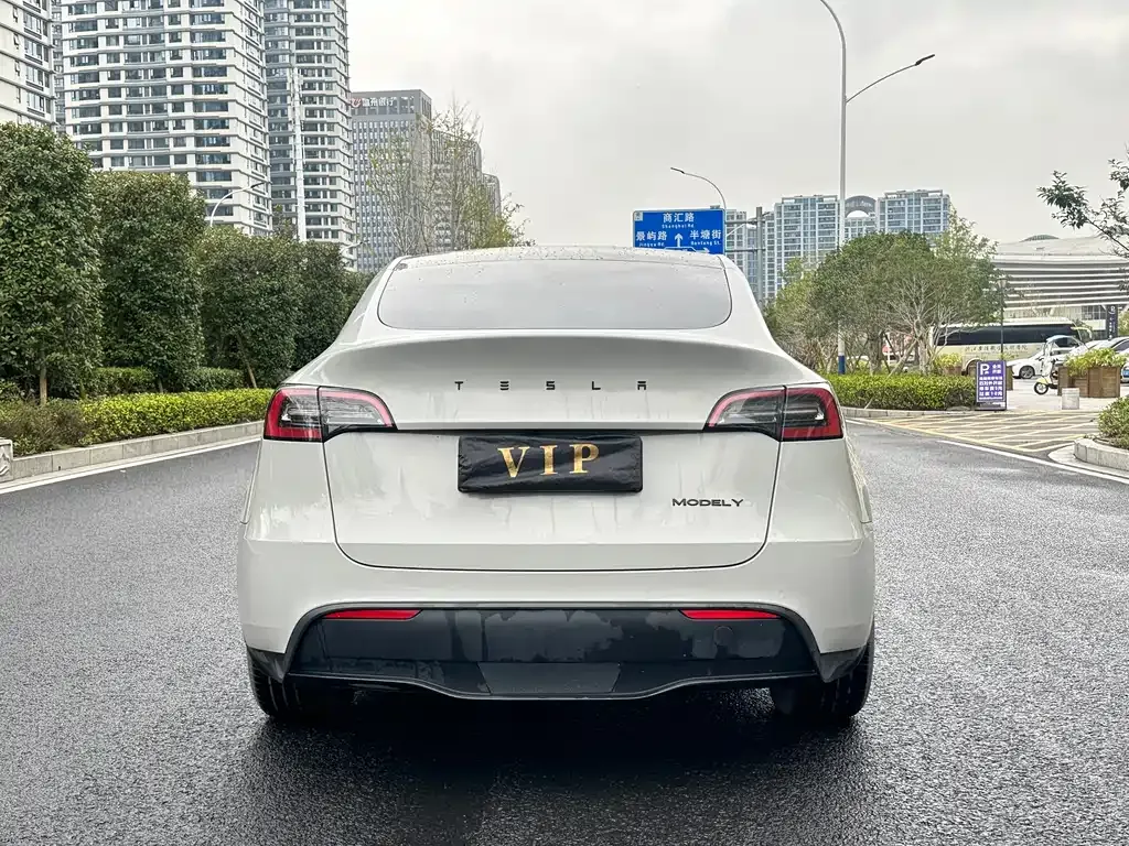 Tesla Model Y — фото 5