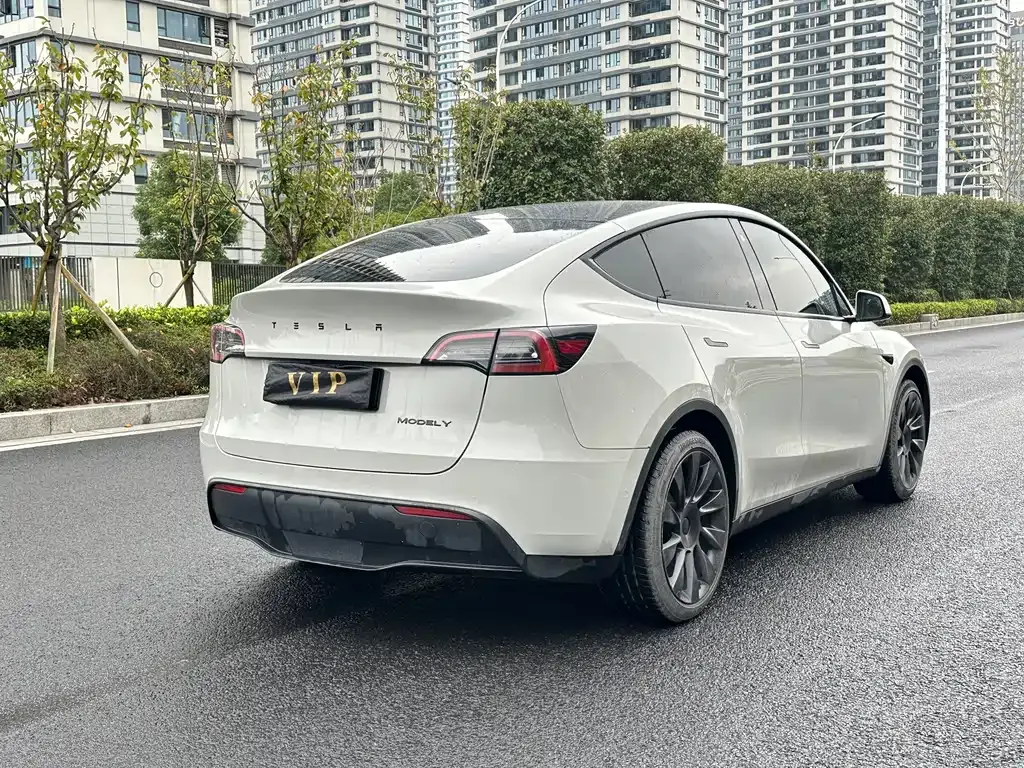 Tesla Model Y — фото 6