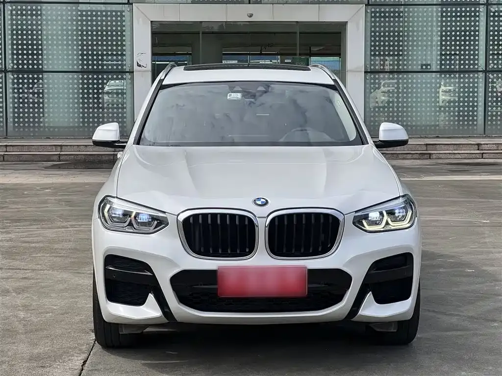 BMW X3 2021 из CN, фото 3