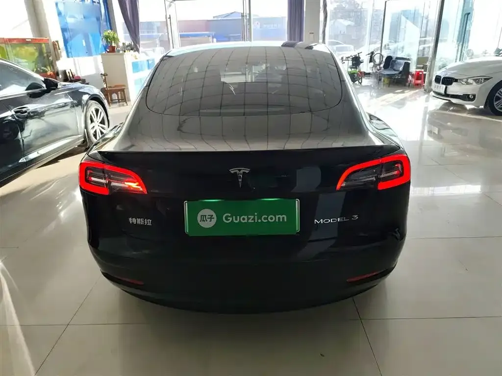 Tesla Model 3 2021 из CN, фото 6