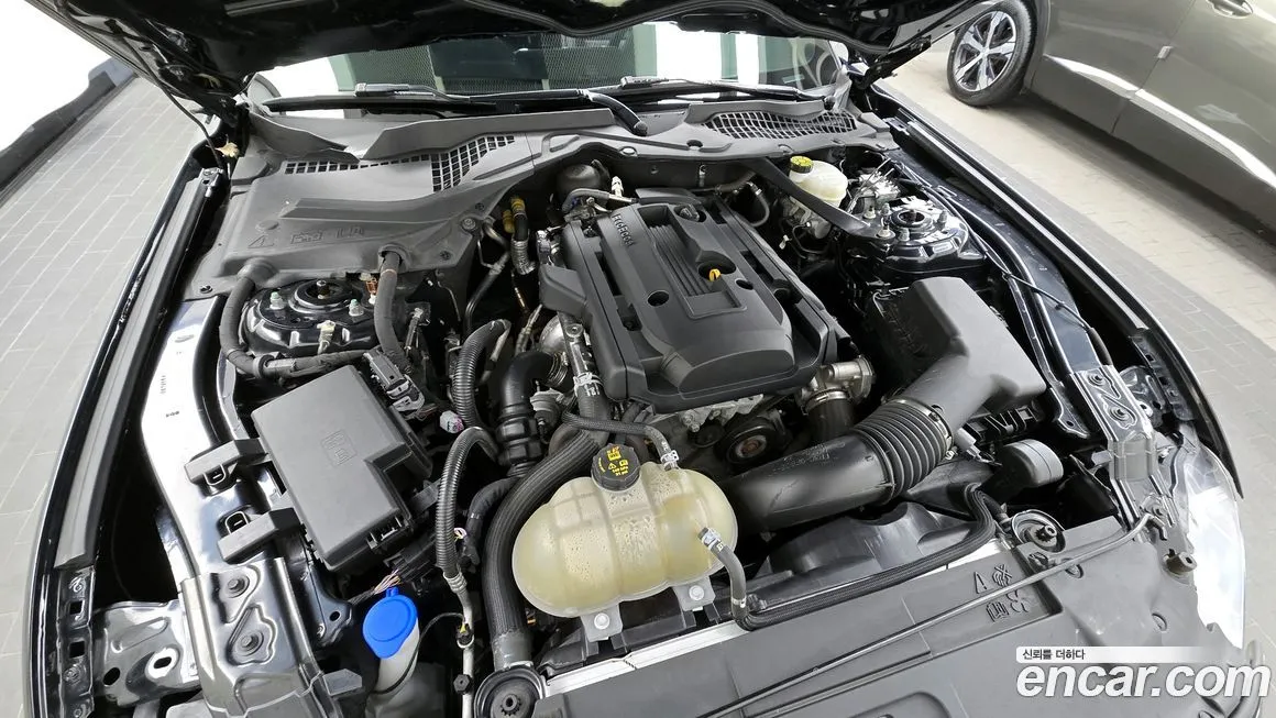 Ford Mustang 2022 из KR, фото 6