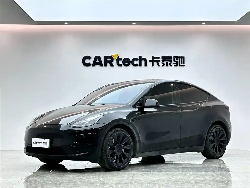 Tesla Model Y 2021 из CN, фото 1