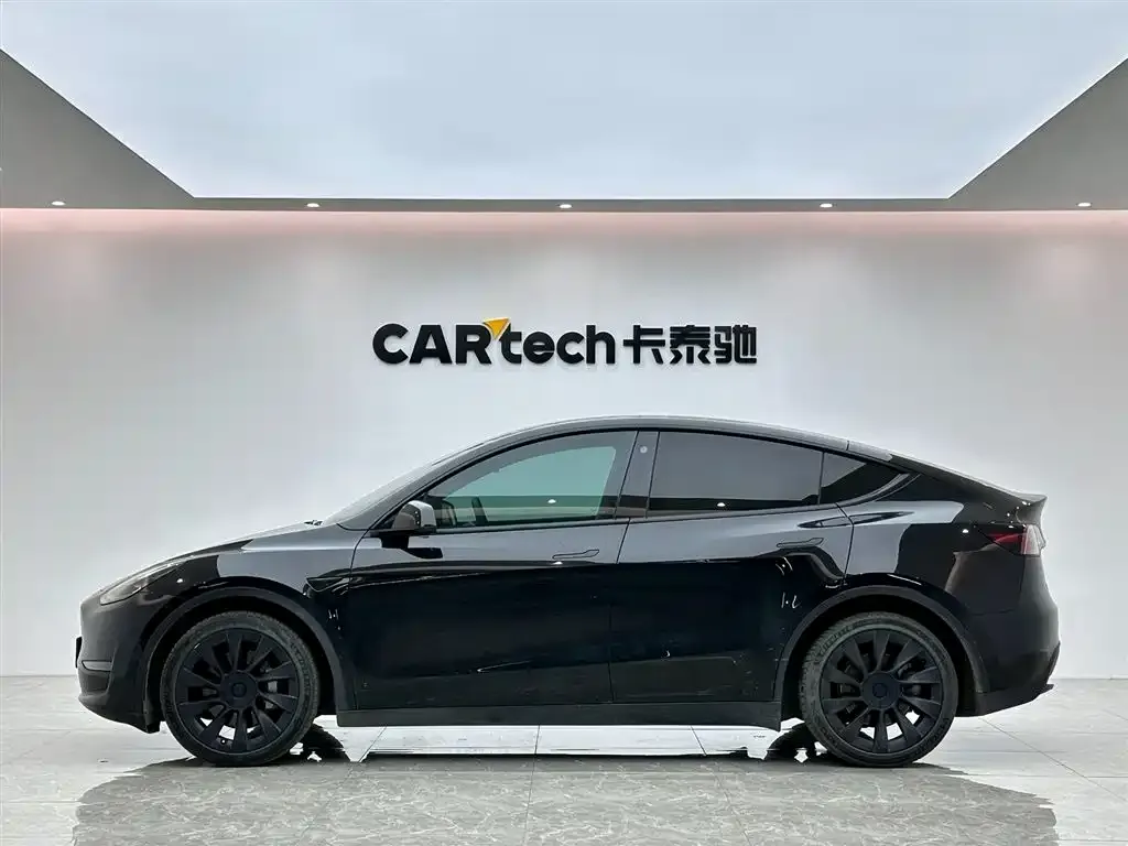 Tesla Model Y 2021 из CN, фото 2