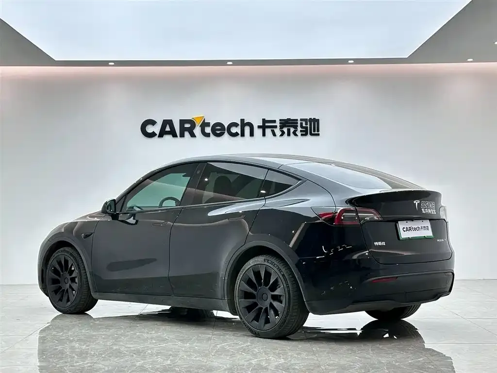 Tesla Model Y 2021 из CN, фото 3