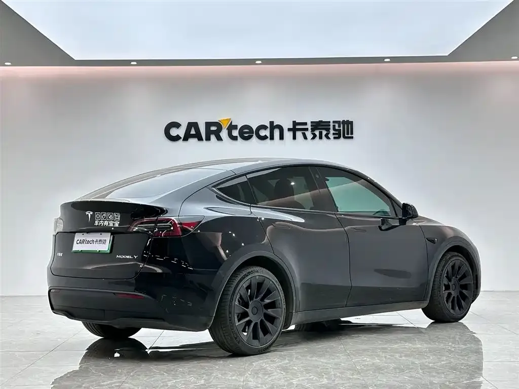 Tesla Model Y 2021 из CN, фото 5