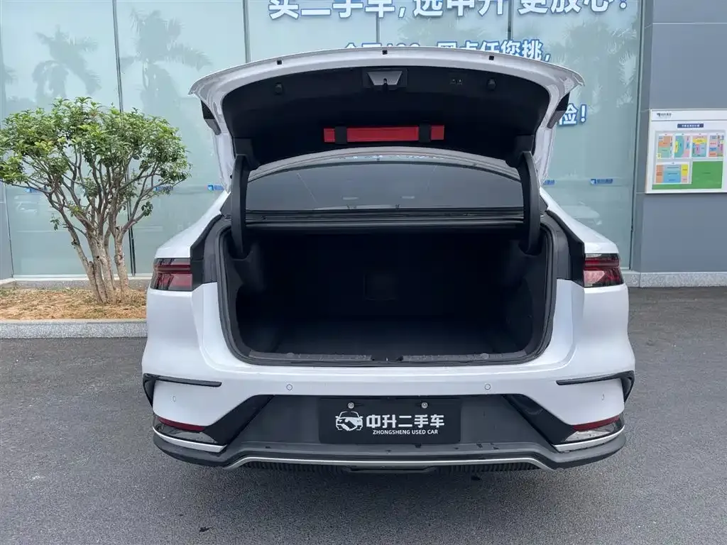 BYD Han 2022 из CN, фото 5
