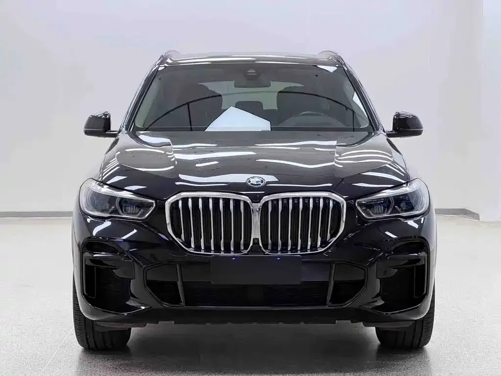 BMW X5 2022 из CN, фото 2