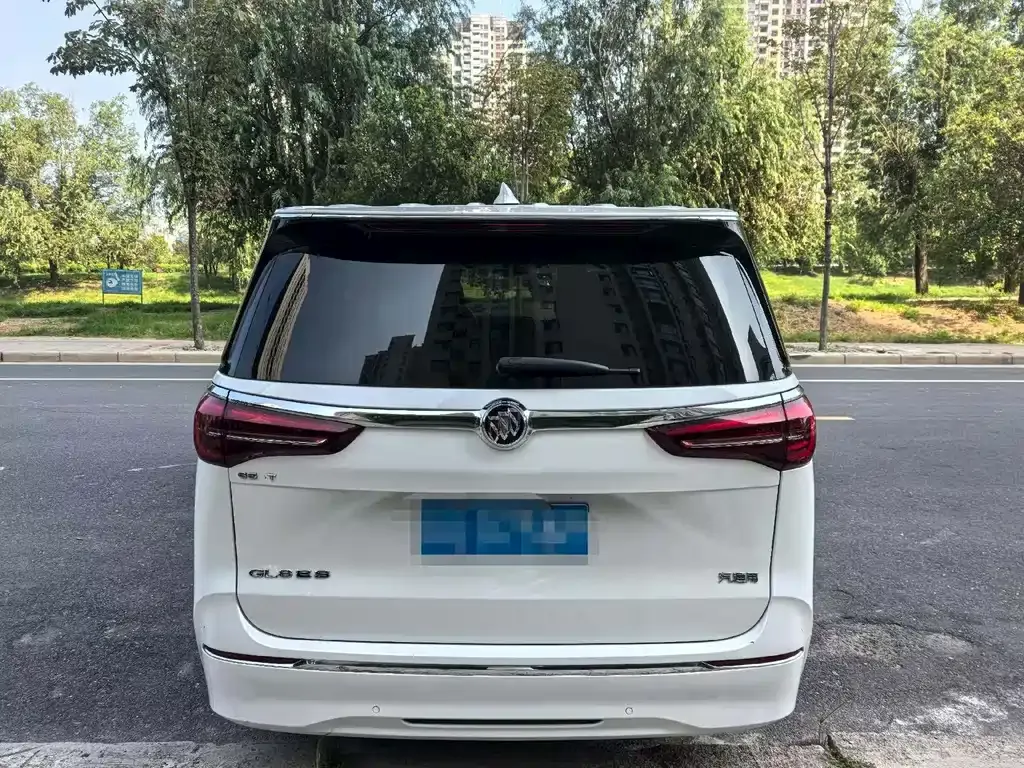 Buick GL8 2021 из CN, фото 8