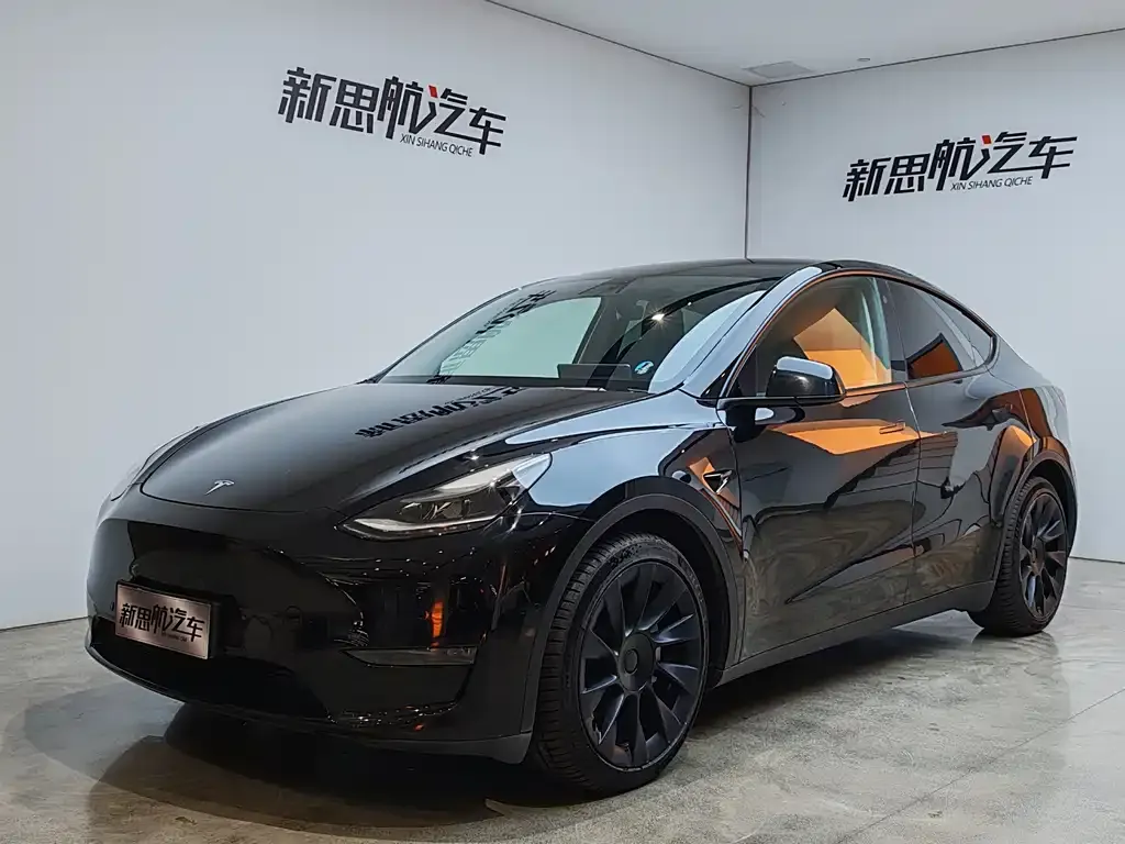 Tesla Model Y 2021 из CN, фото 1