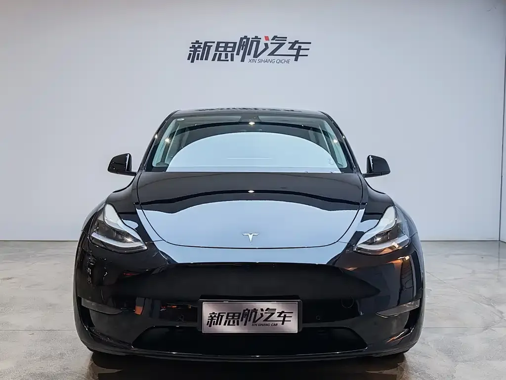 Tesla Model Y 2021 из CN, фото 2