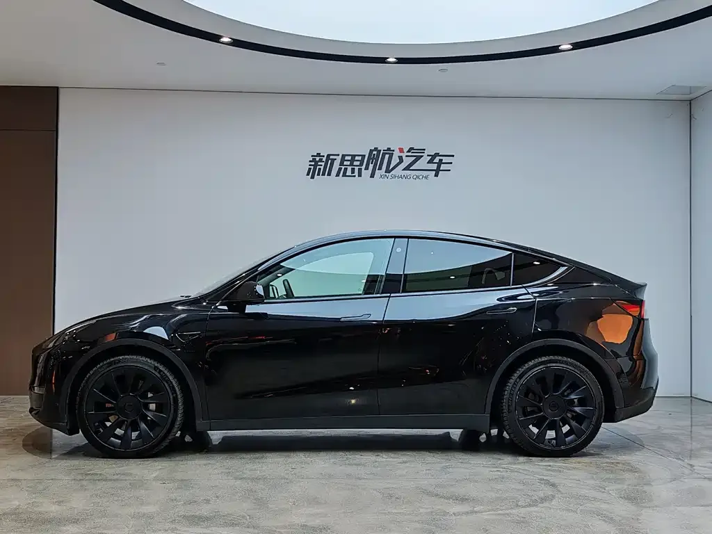 Tesla Model Y 2021 из CN, фото 3