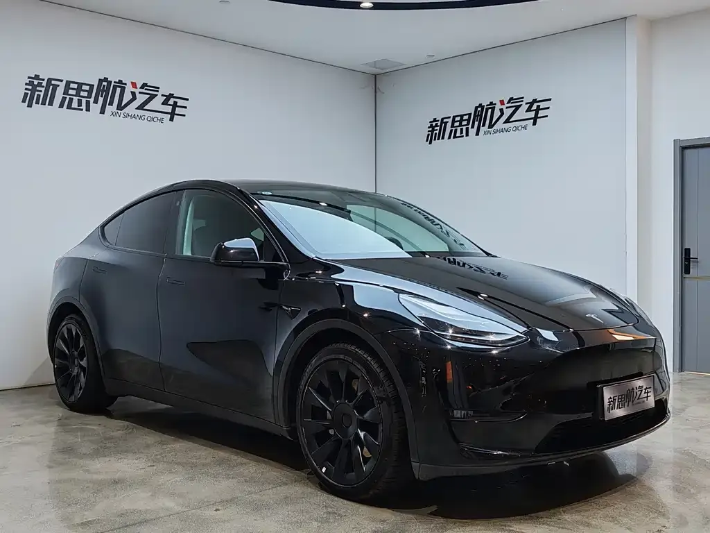 Tesla Model Y 2021 из CN, фото 4