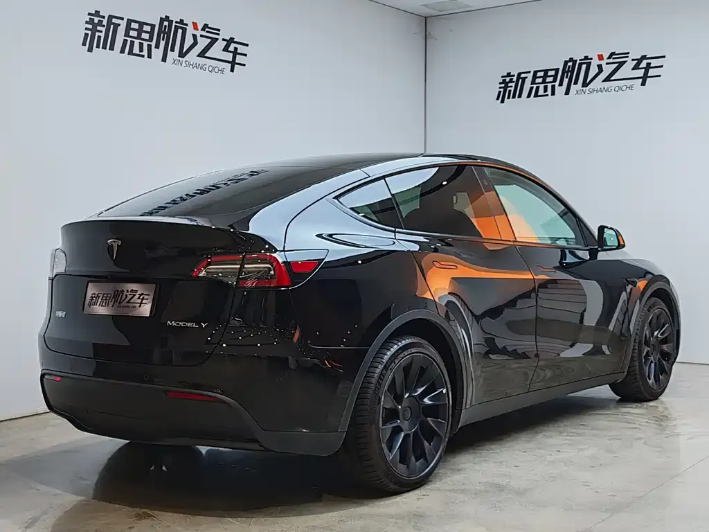 Tesla Model Y 2021 из CN, фото 5