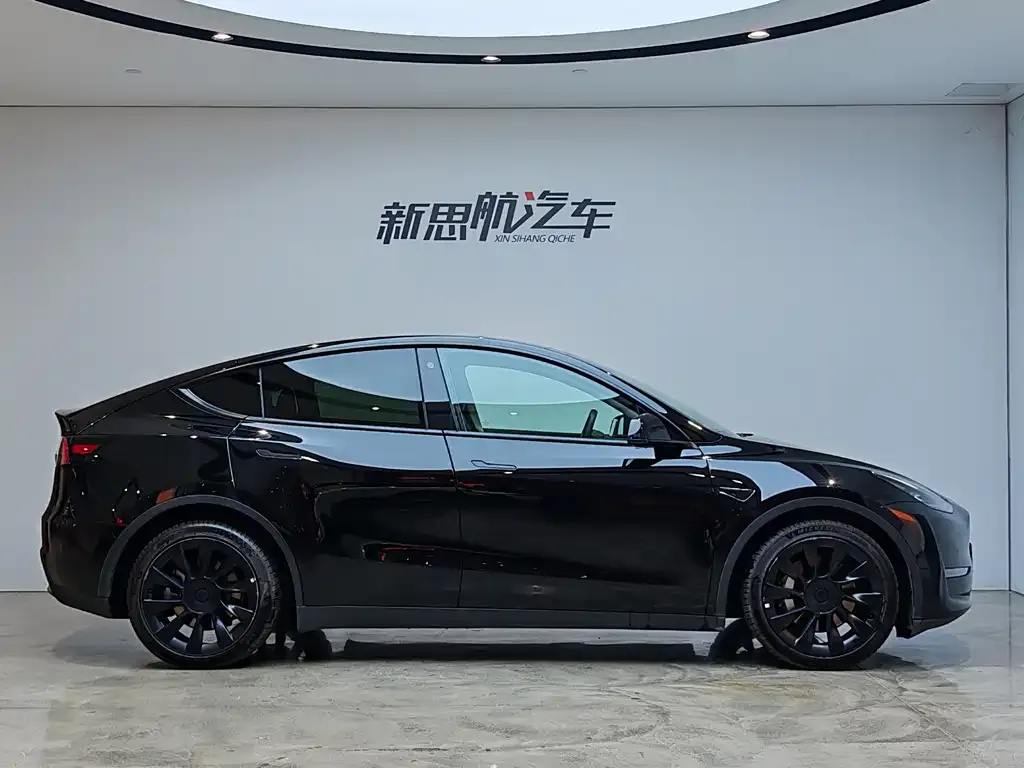 Tesla Model Y 2021 из CN, фото 6