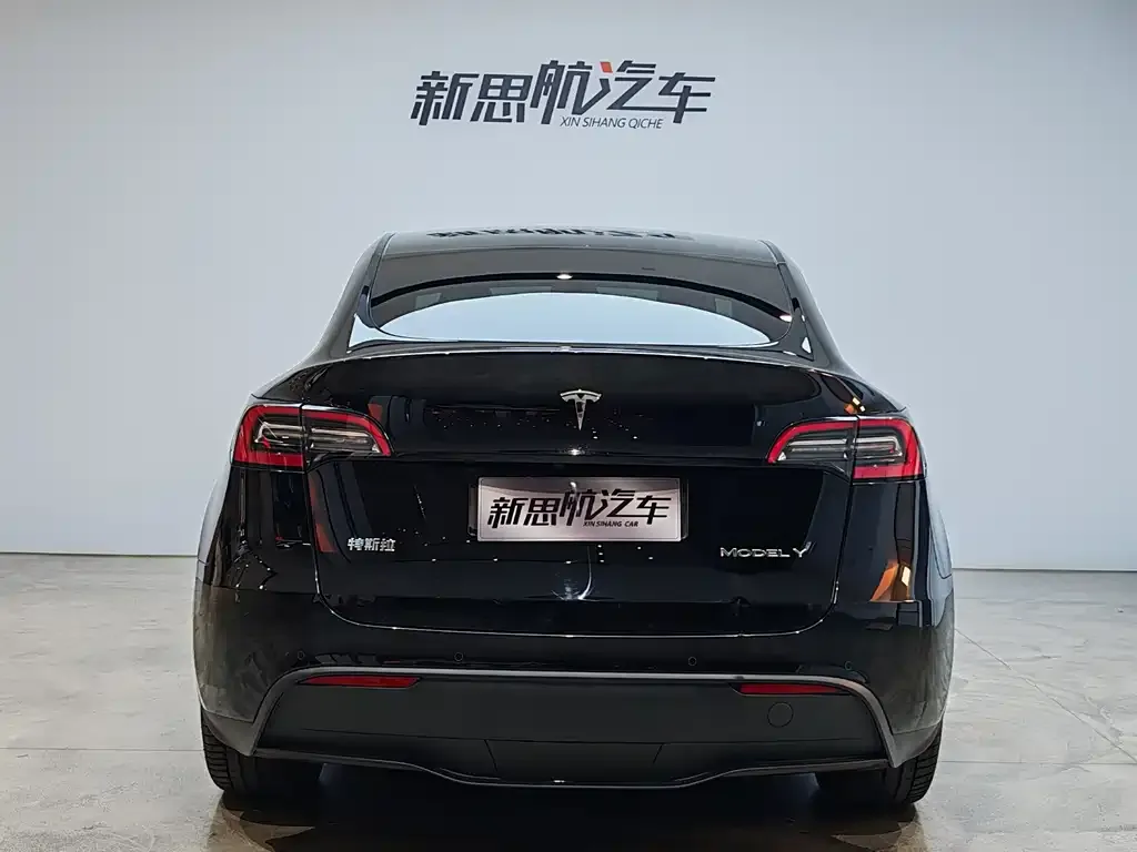 Tesla Model Y 2021 из CN, фото 7