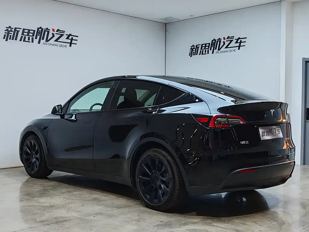 Tesla Model Y 2021 из CN, фото 8