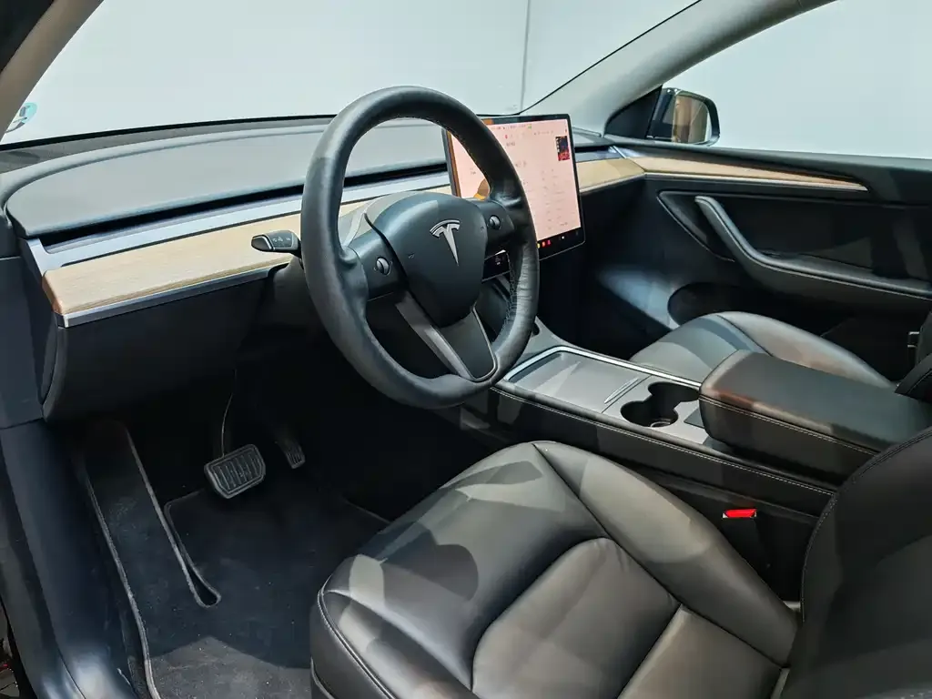 Tesla Model Y 2021 из CN, фото 9