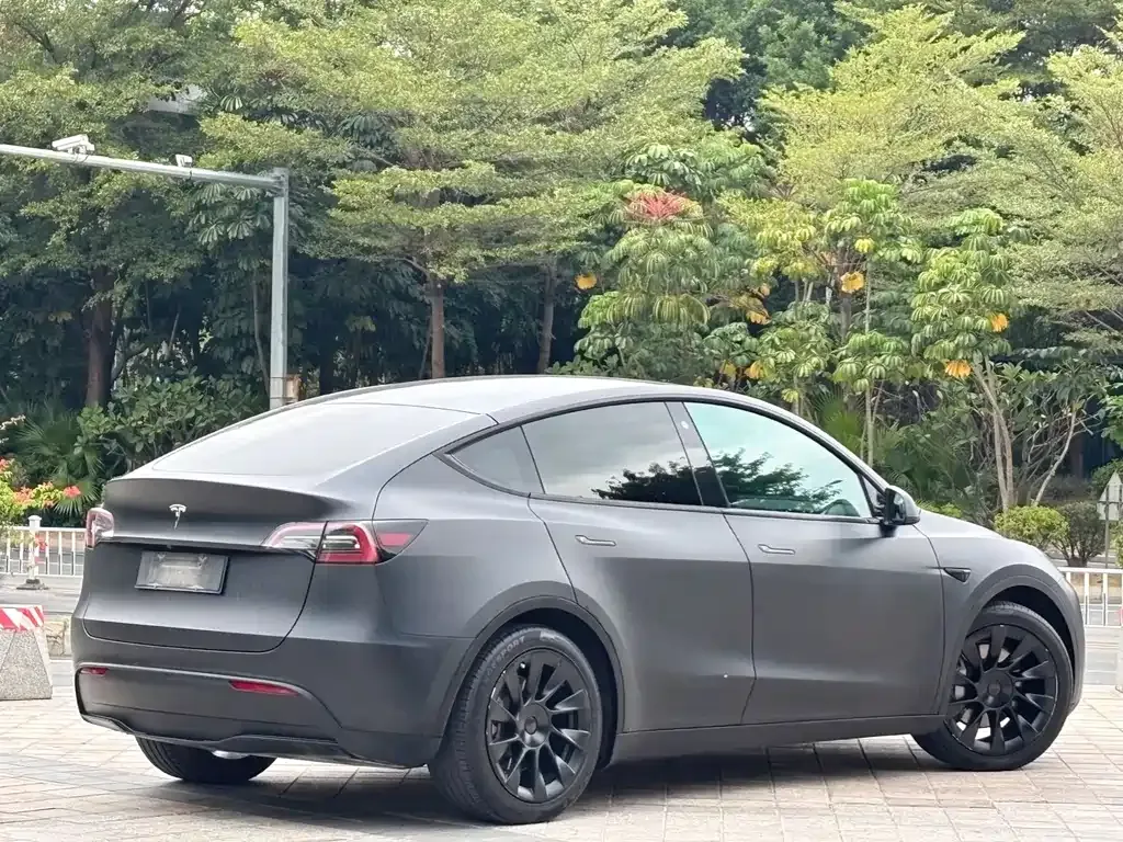 Tesla Model Y — фото 10