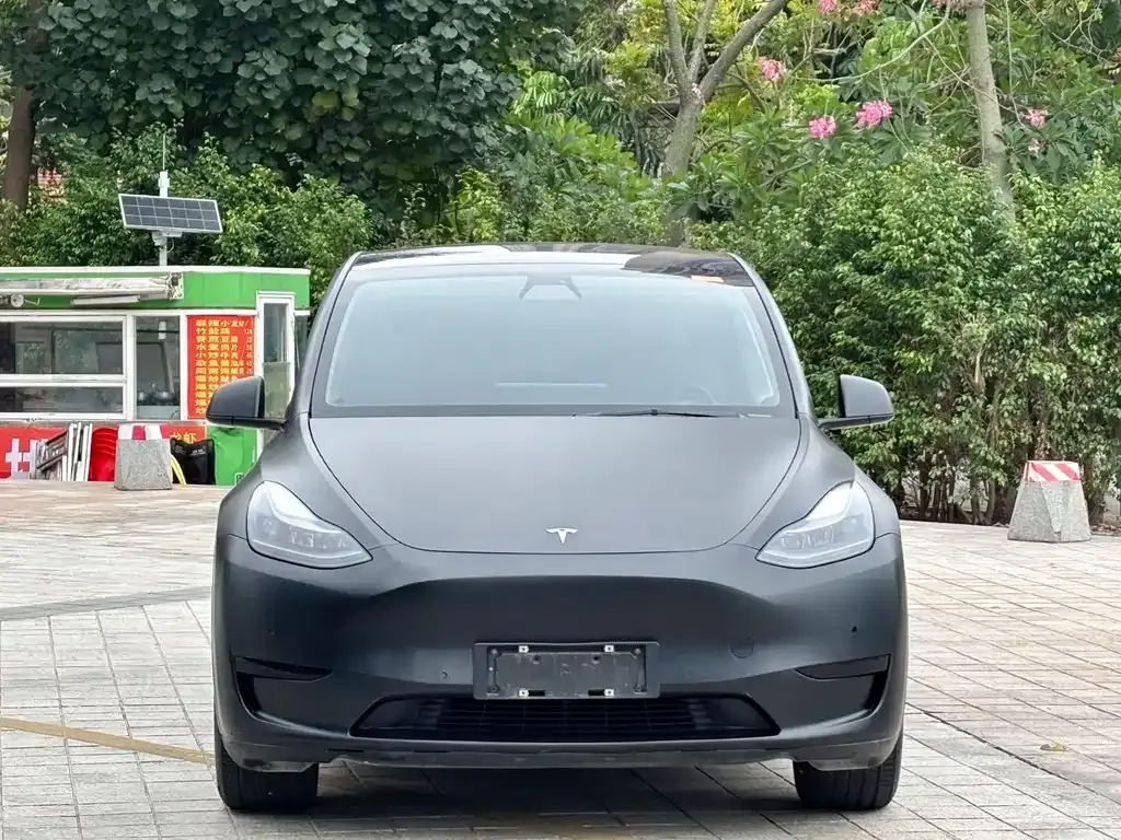 Tesla Model Y — фото 2